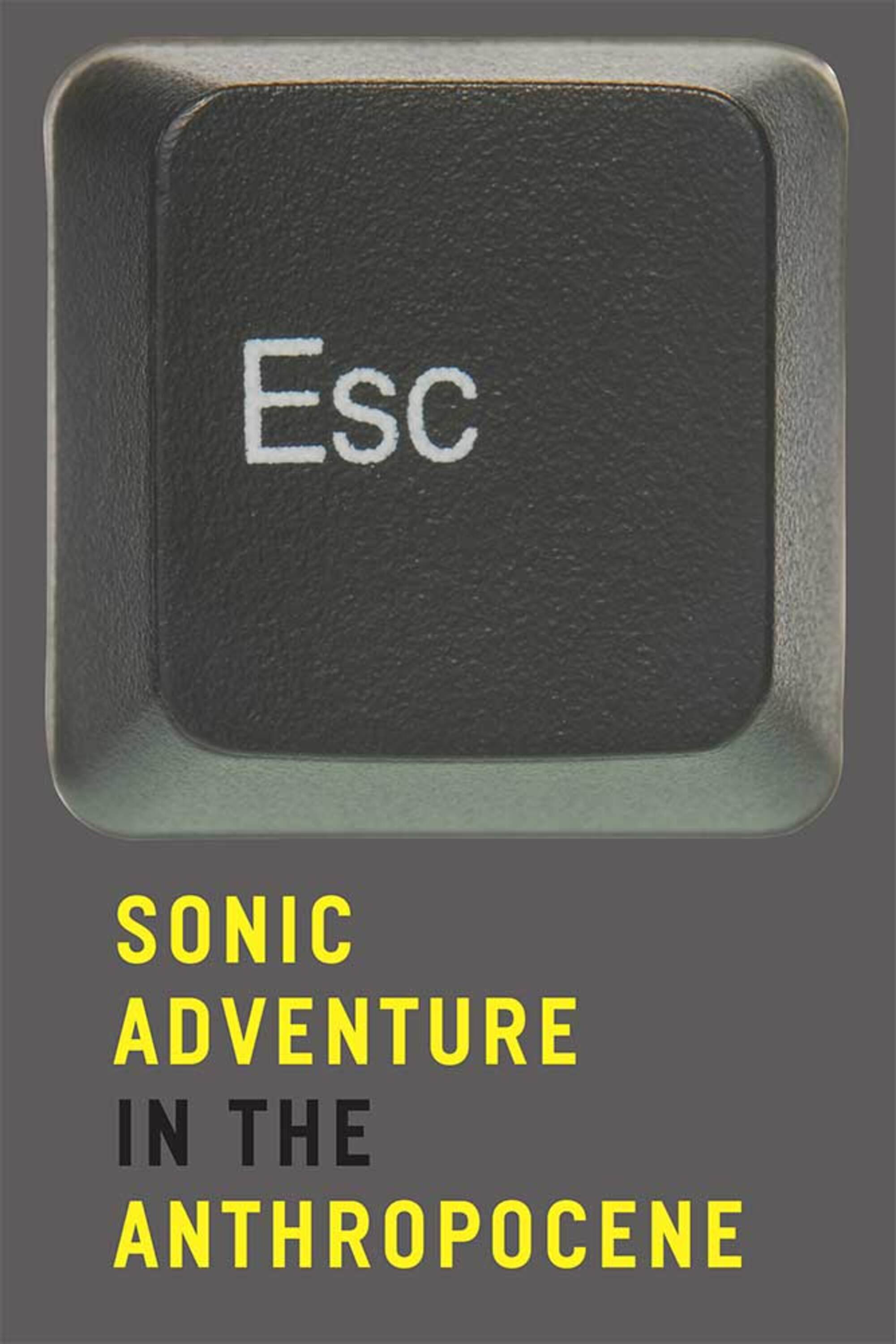Sonic Adventure Online-Chapter 1 S.E