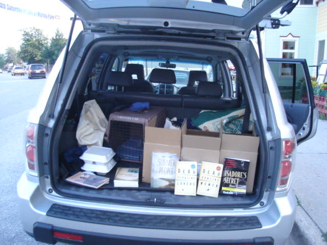 files/2009/07/link_car.jpg