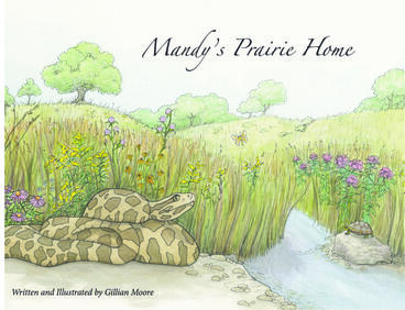 Cover of Mandy's Prairie Home | Gillian Moore | 9781607858331