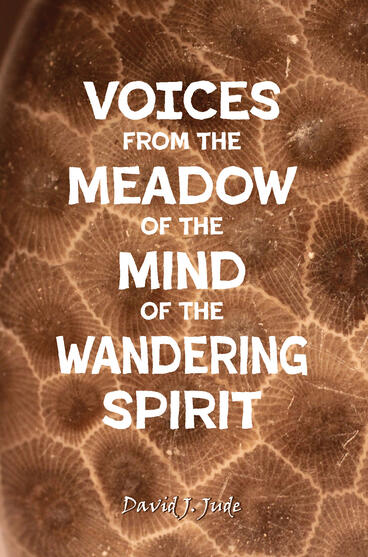 Cover of Voices From the Meadow of the Mind of the Wandering Spirit | David Jude | 9781607858744