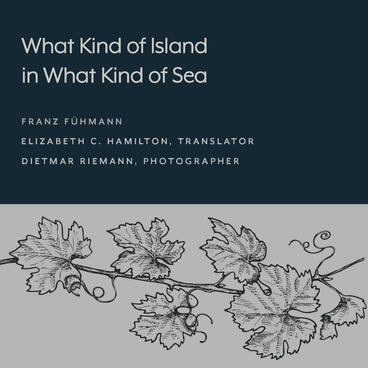 Cover of What Kind of Island in What Kind of Sea? | Franz Fühmann &amp; Elizabeth C. Hamilton | 9781643150277