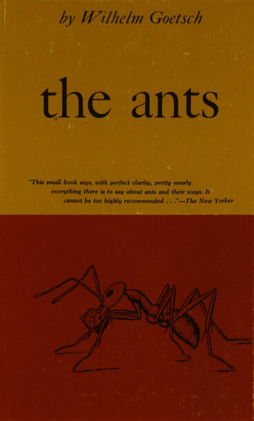Cover of Ants | Wilhelm Goetsch &amp; Ralph Manheim | 9780472911448