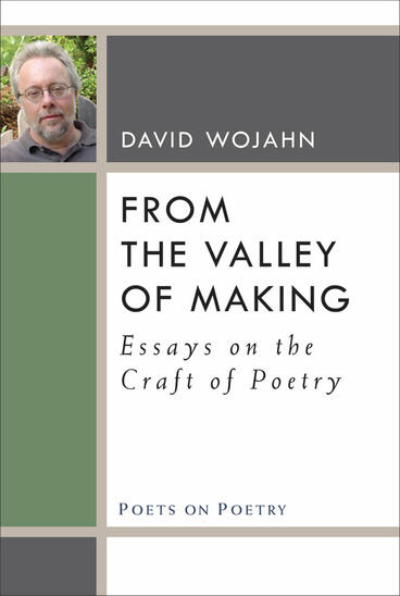 Cover of From the Valley of Making - Essays on the Craft of Poetry