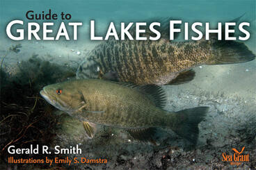 Cover of Guide to Great Lakes Fishes