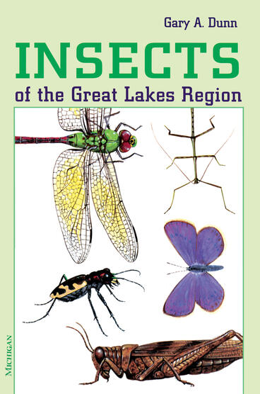 Cover of Insects of the Great Lakes Region