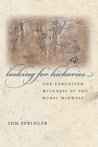 Cover of Looking for Hickories - The Forgotten Wildness of the Rural Midwest