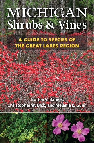 Cover of Michigan Shrubs and Vines: A Guide to Species of the Great Lakes Region | Burton V. Barnes, Christopher E. Dick, and Melanie W. Gunn | 9780472117772