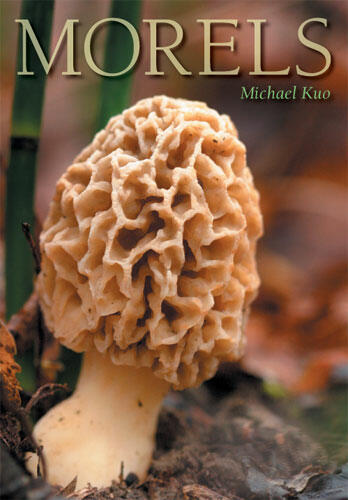 Cover of Morels