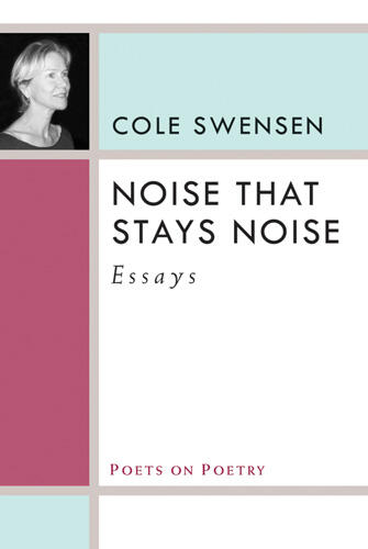 Cover of Noise That Stays Noise - Essays