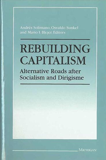 Cover of Rebuilding Capitalism - Alternative Roads after Socialism and Dirigisme