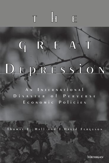 Cover of The Great Depression - An International Disaster of Perverse Economic Policies