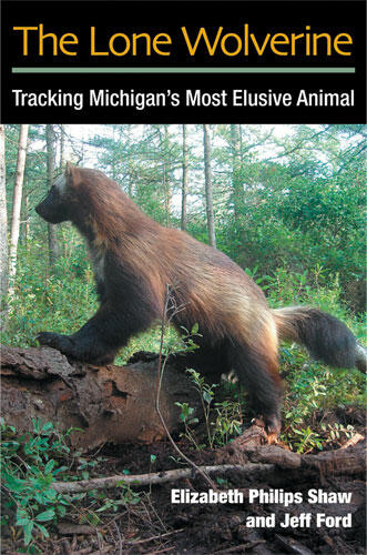 Cover of The Lone Wolverine - Tracking Michigan's Most Elusive Animal