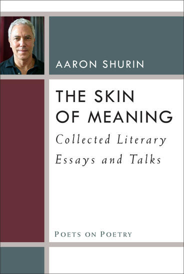 Cover of The Skin of Meaning - Collected Literary Essays and Talks