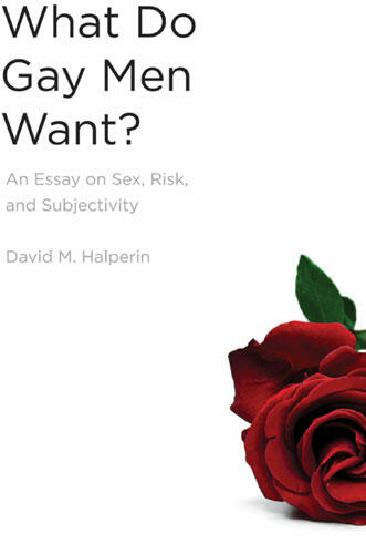 Cover of What Do Gay Men Want? - An Essay on Sex, Risk, and Subjectivity